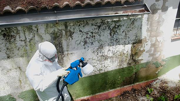 Top rated local Bathroom Mold Removal specialists in Martinsburg, PA